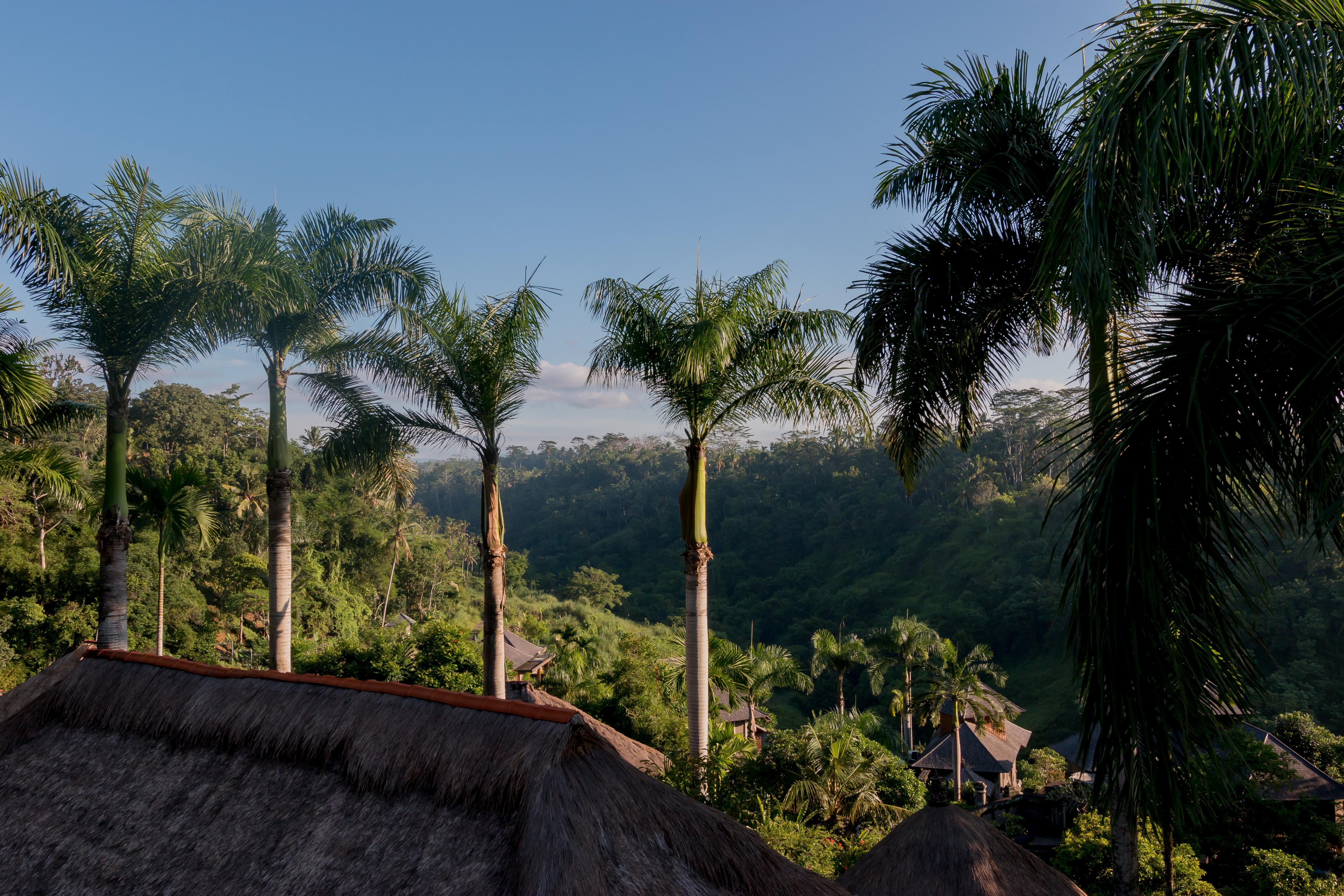 The Payogan Villa Resort And Spa Ubud Buitenkant foto